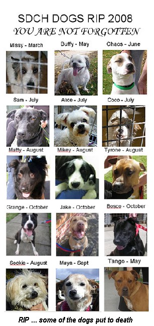 Fury as pets put to death 